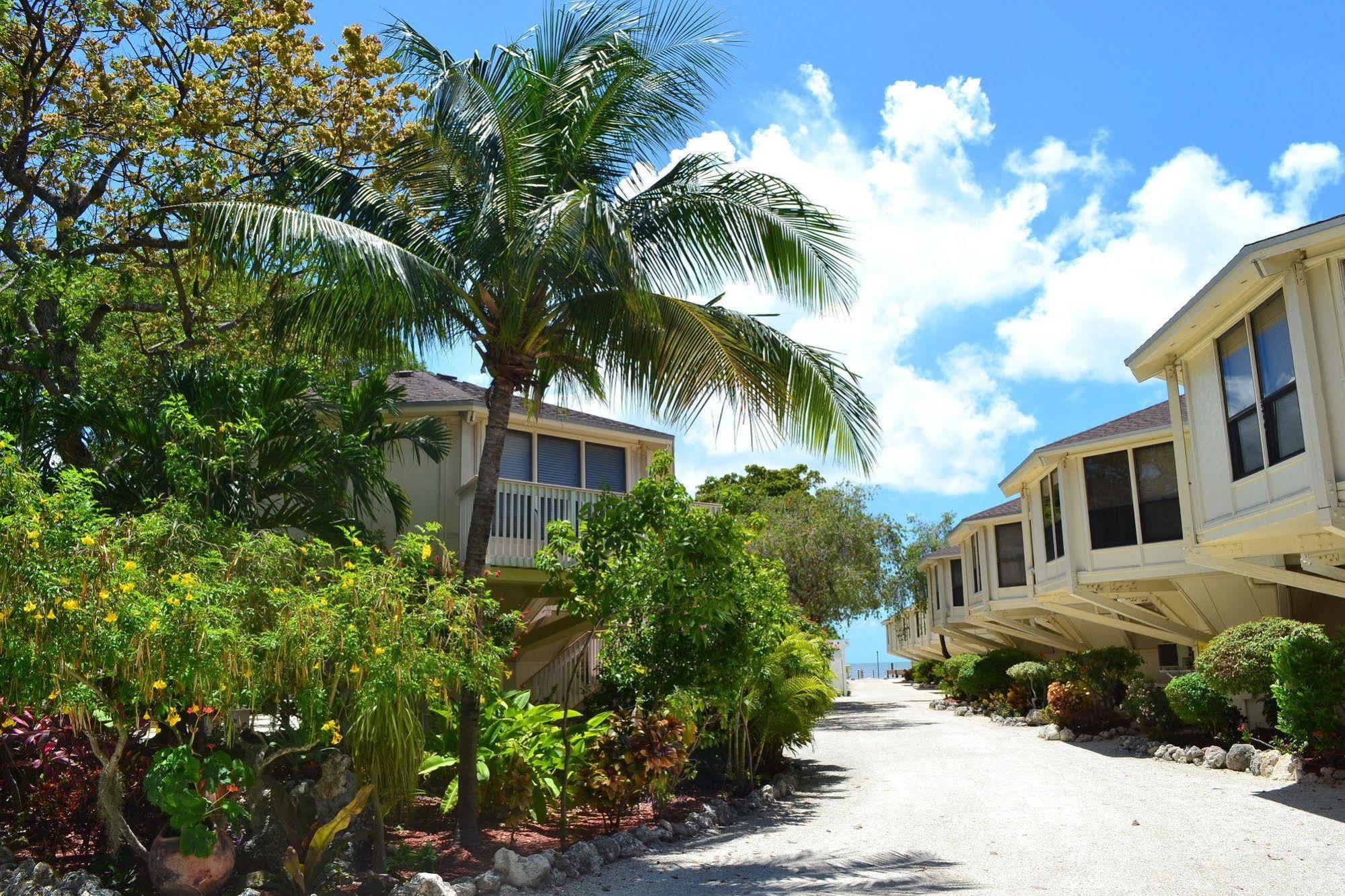 The Reef At Marathon Aparthotel Exterior foto