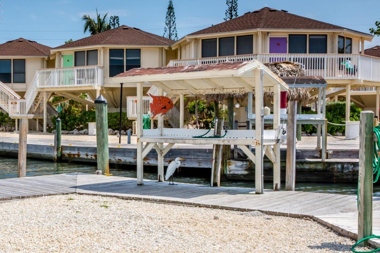 The Reef At Marathon Aparthotel Exterior foto